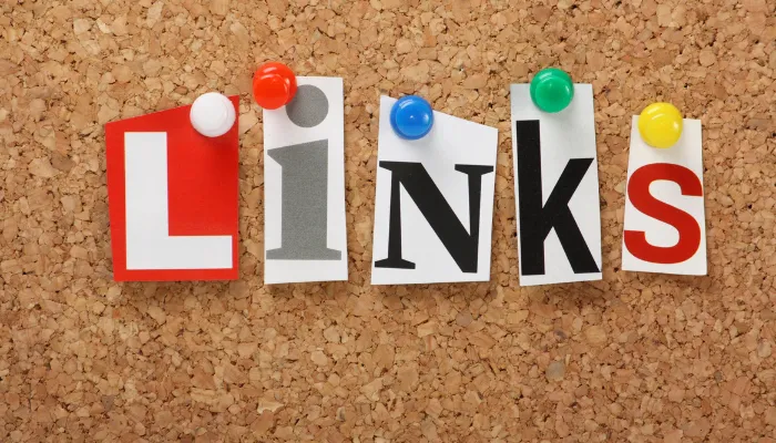 link interno vs link externo