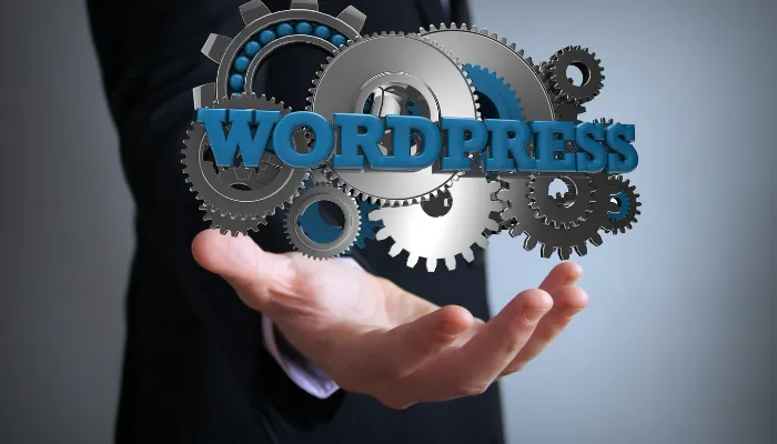 meta keywords wordpress