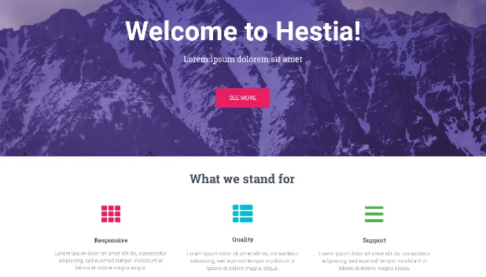 Exemplo do Hestia tema do wordpress.